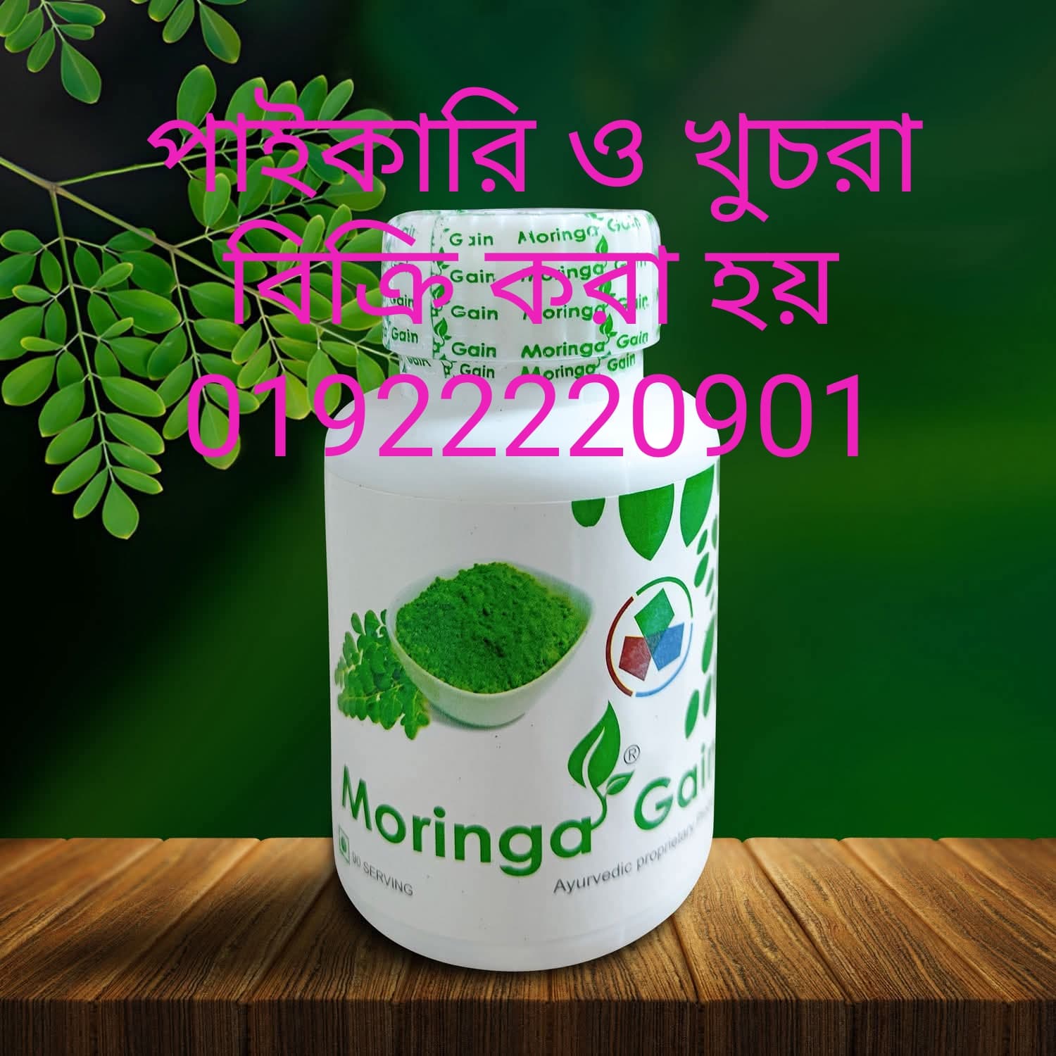 Moringa Gain