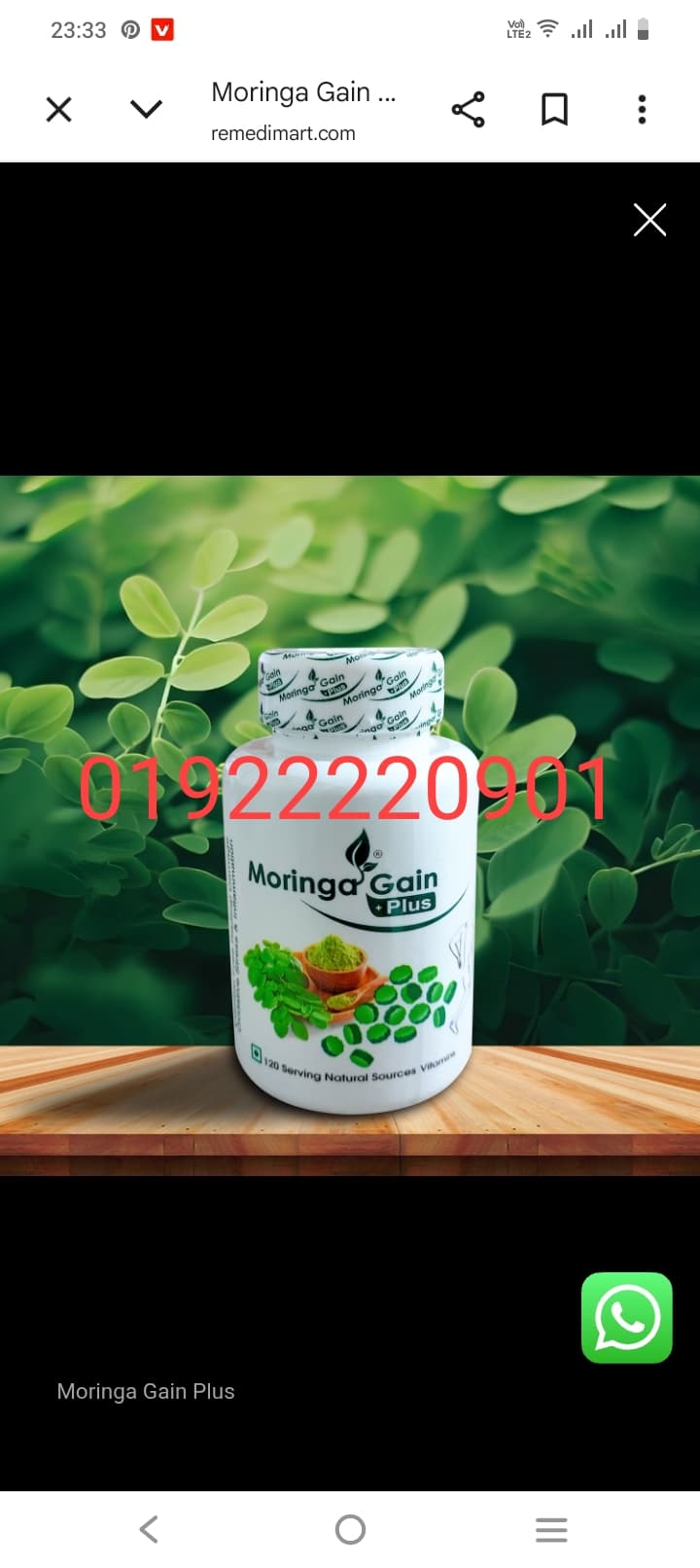 Moringa Gain Plus